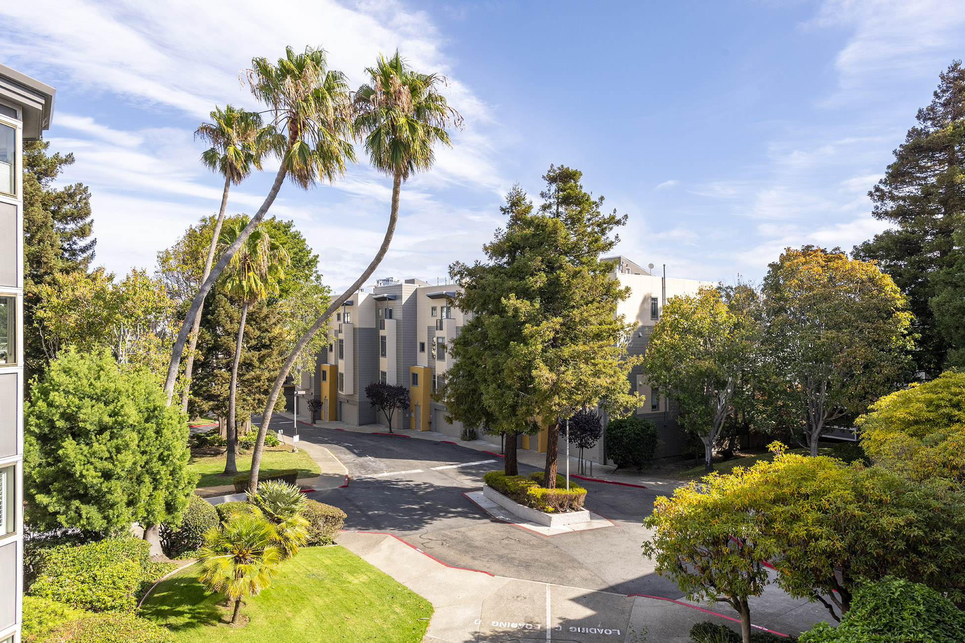 View of the landscaped courtyard from 1839 15th Street, Unit 364, San Francisco, CA